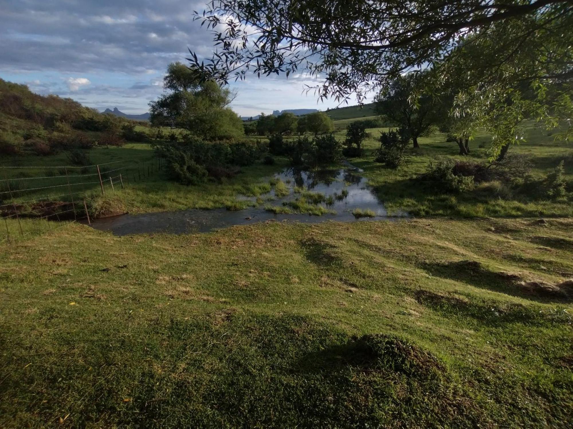 Oban Farm Stay Van Reenen Exterior foto