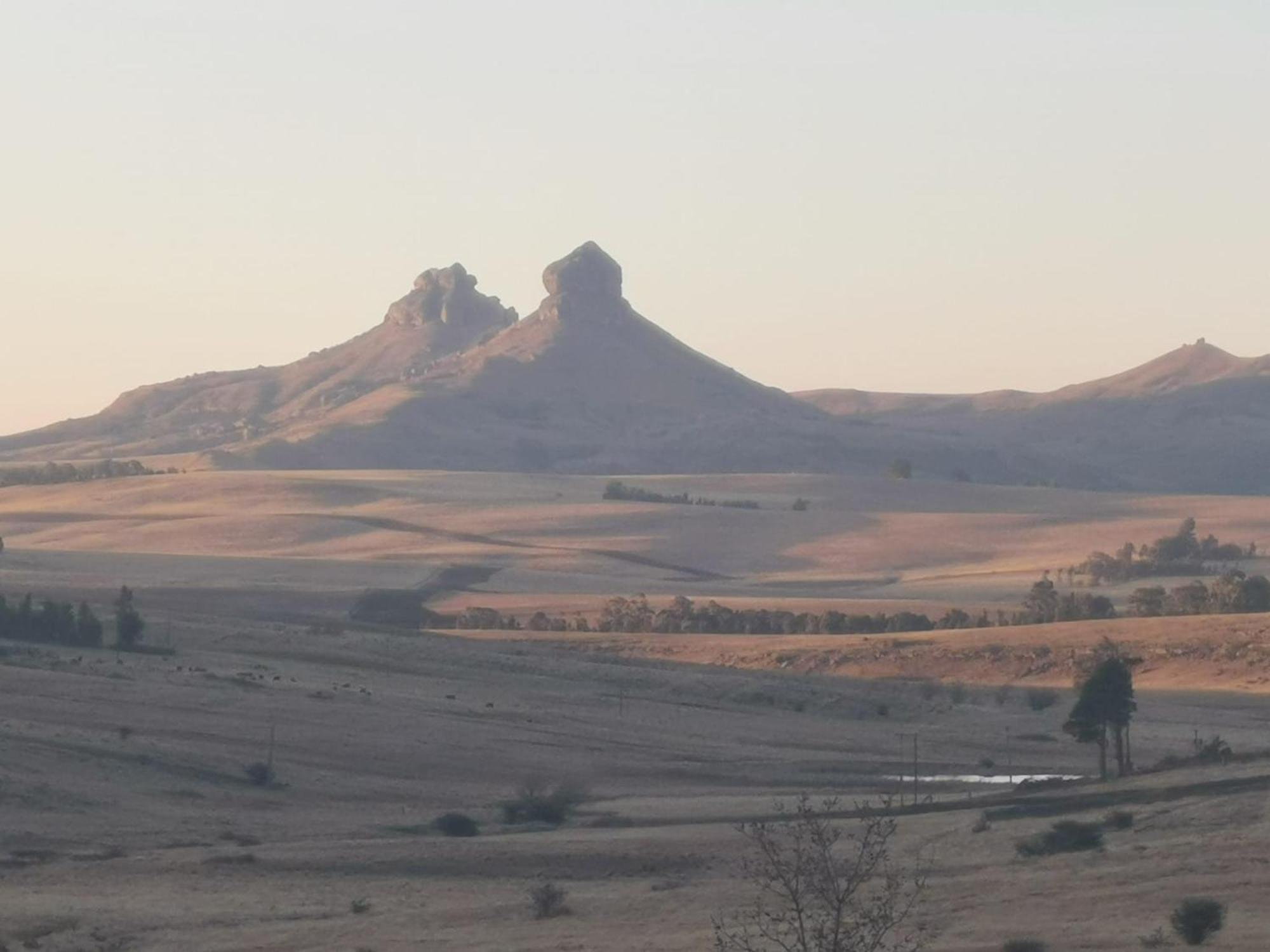 Oban Farm Stay Van Reenen Exterior foto