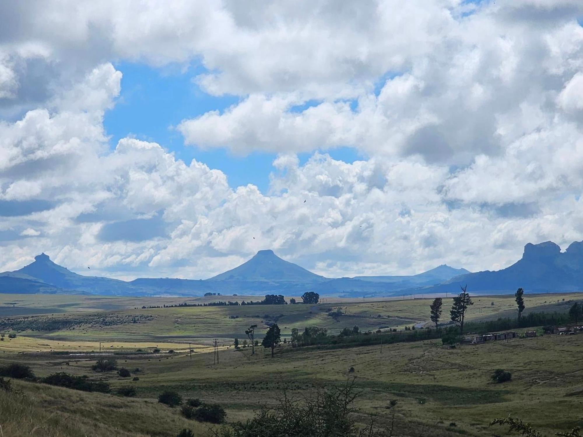 Oban Farm Stay Van Reenen Exterior foto