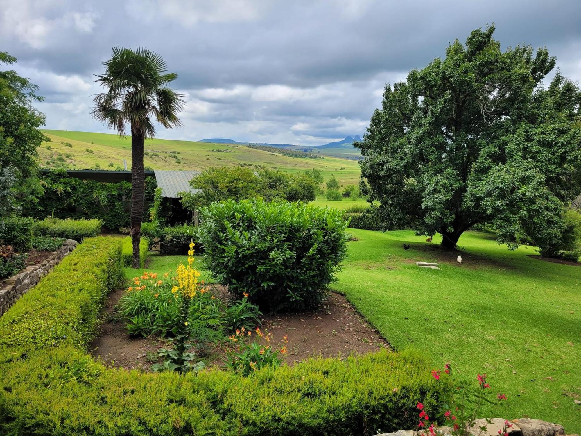 Oban Farm Stay Van Reenen Exterior foto