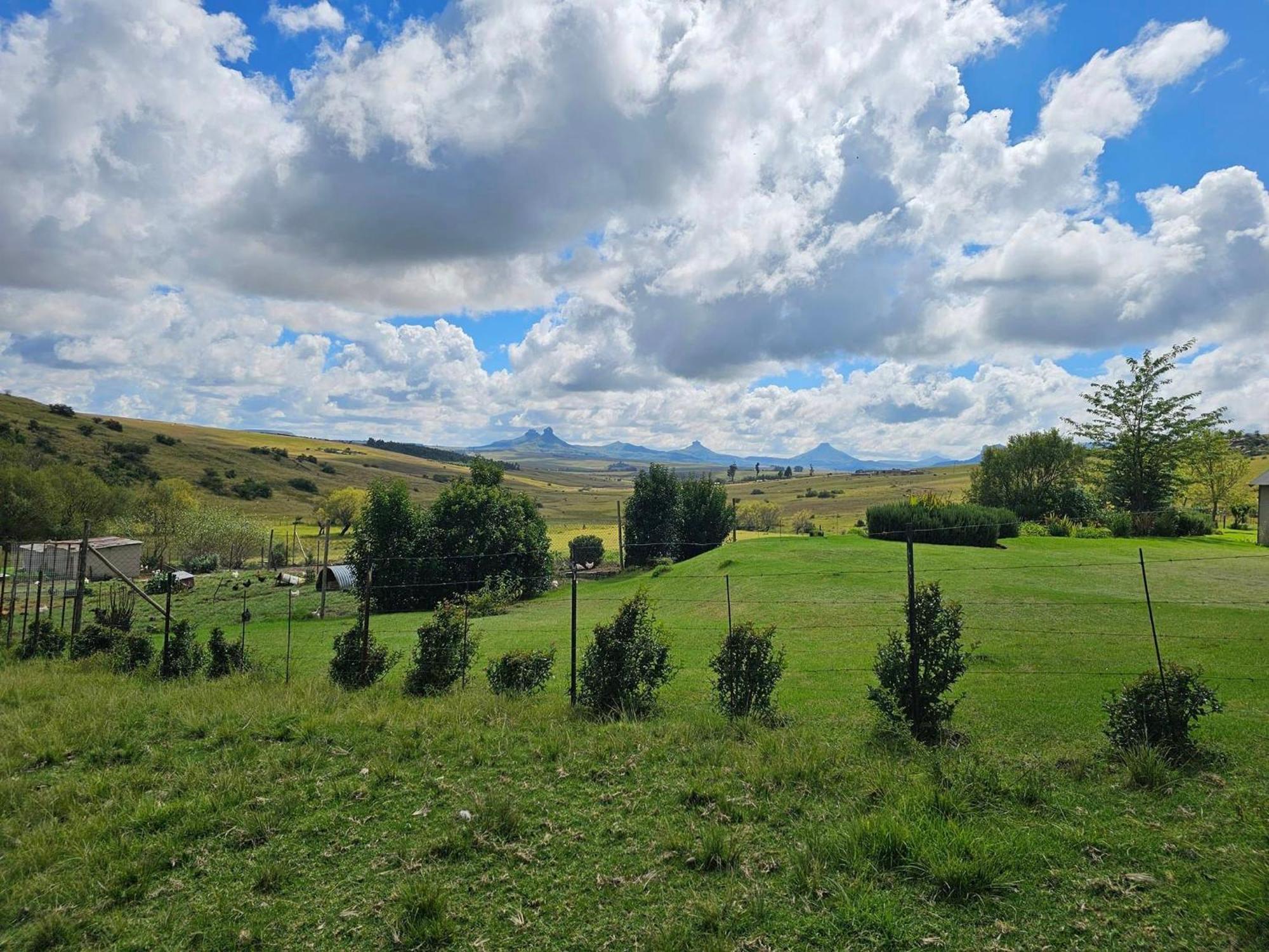 Oban Farm Stay Van Reenen Exterior foto